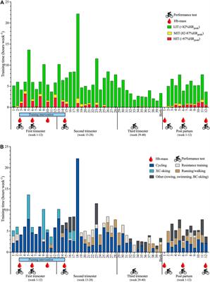 Performance-Related Physiological and Haematological Changes During Pregnancy and Postpartum in a Well-Trained Cyclist Performing Endurance Training